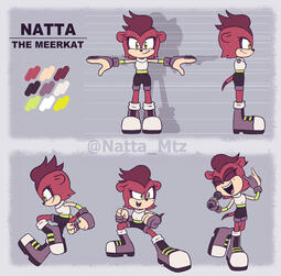 Sonicsona_Ficha